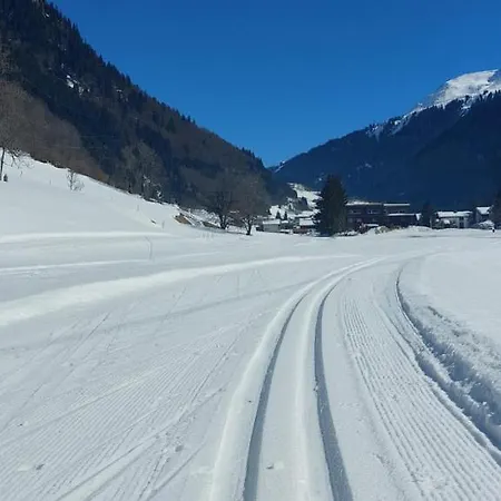 Haus Anita Apartment Wald am Arlberg