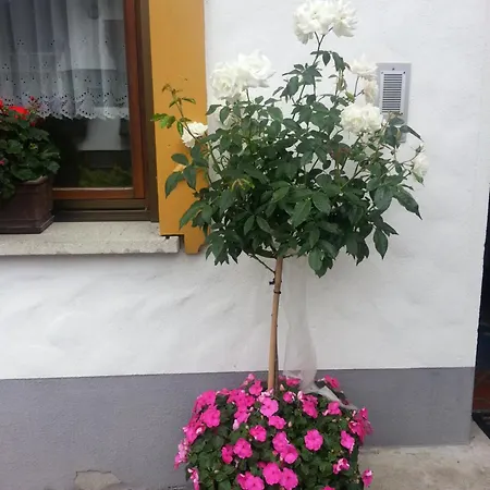 Haus Anita Апартаменты *