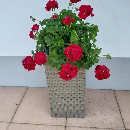 Haus Anita Wald am Arlberg